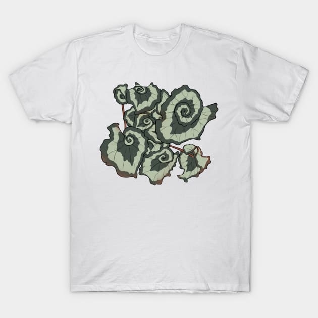 Escargot Begonia T-Shirt by pigdragon